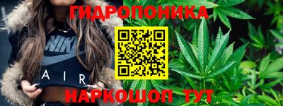 эйфоретик Лесосибирск