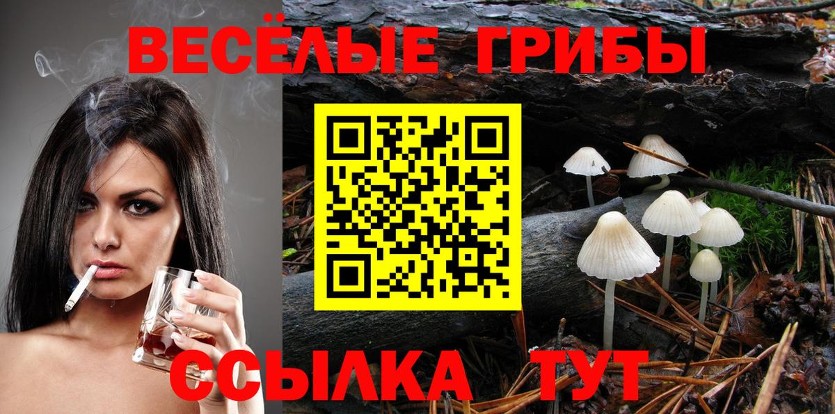 Галлюциногенные грибы Psilocybe Железноводск